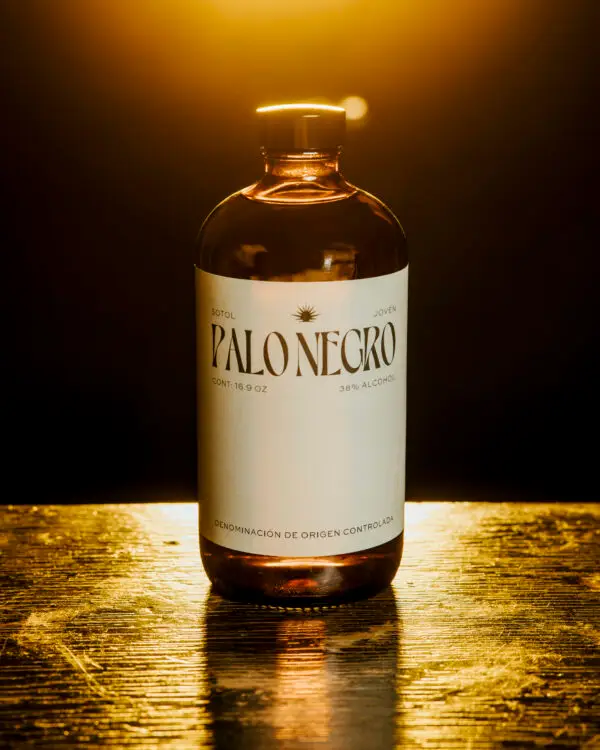 sotol-joven